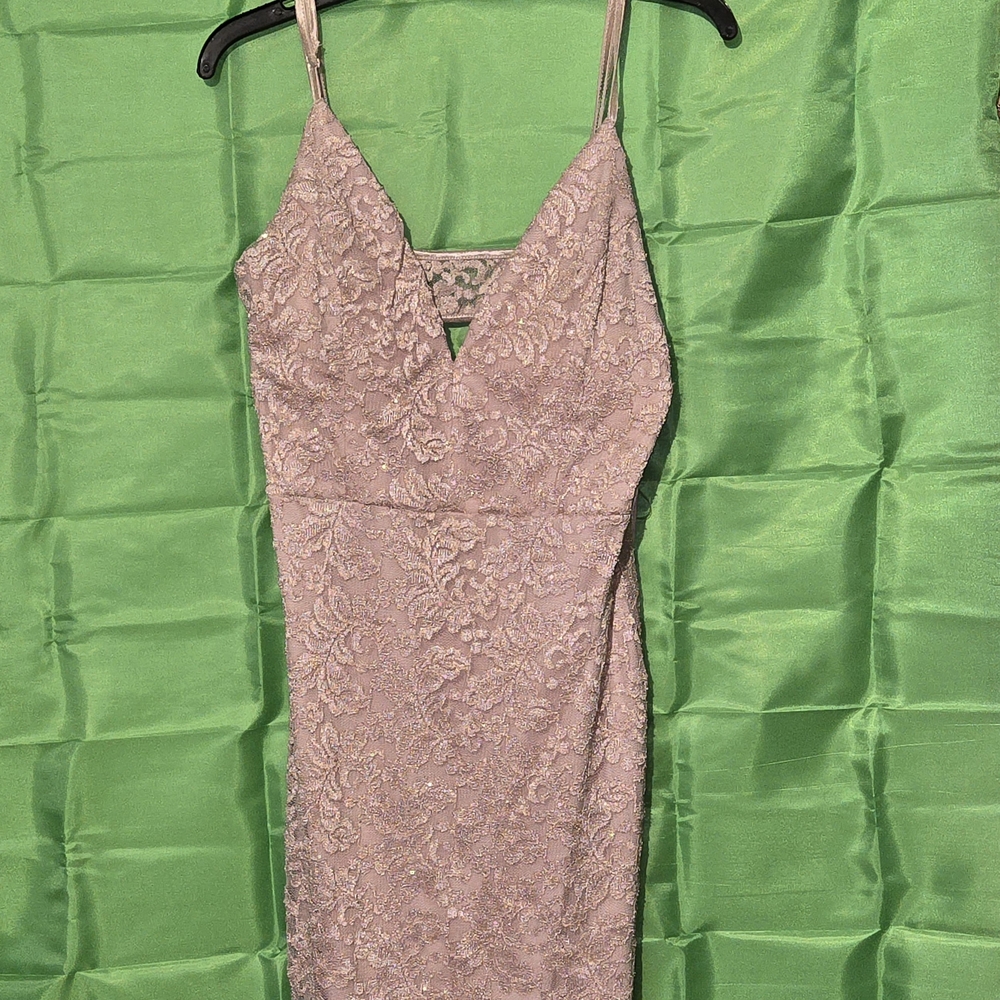 Elegant Lace Dress